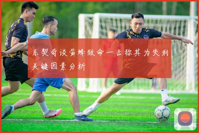东契奇谈黄蜂致命一击称其为失利关键因素分析